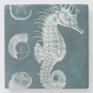 Dessous-de-verre En Pierre Étude azurée I d'hippocampe