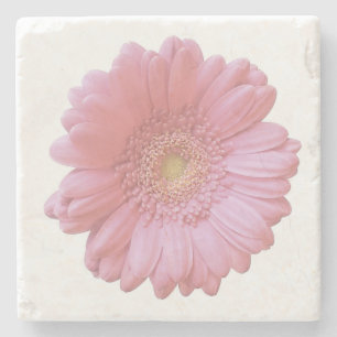 Dessous-de-verre En Pierre Faisée de gerbera rose pâle