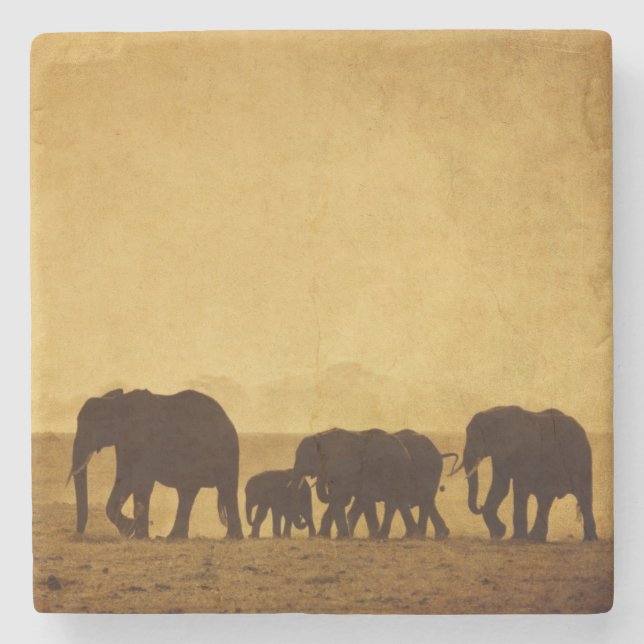 Dessous-de-verre En Pierre Famille d'éléphant (Devant)