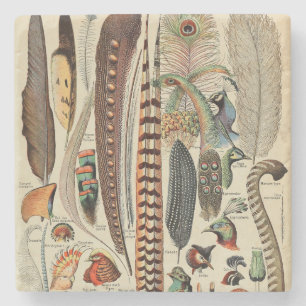 Dessous-de-verre En Pierre Feather Bird Wildlife Plumes d'antiquités