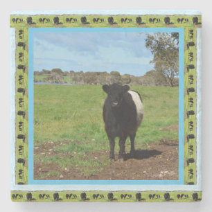 Dessous-de-verre En Pierre Female Belted Galloway Cow
