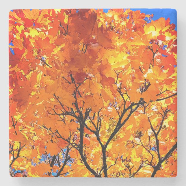 Dessous-de-verre En Pierre Feuille orange (Devant)