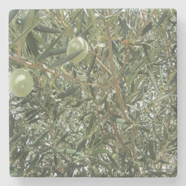 Dessous-de-verre En Pierre Feuilles d'oliviers (Devant)