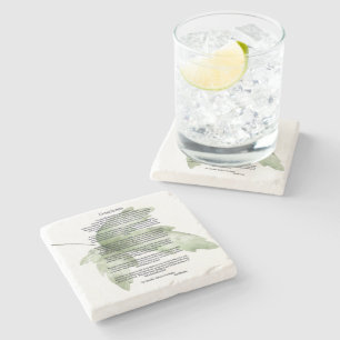 Dessous-de-verre En Pierre Feuilles verts de Desiderata