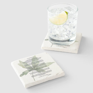 Dessous-de-verre En Pierre Feuilles verts de Desiderata