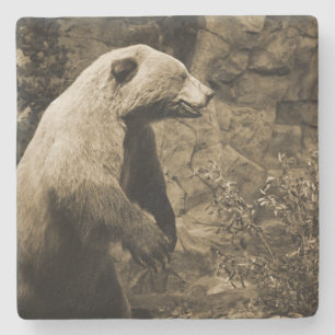 Dessous-de-verre En Pierre Fière Ours