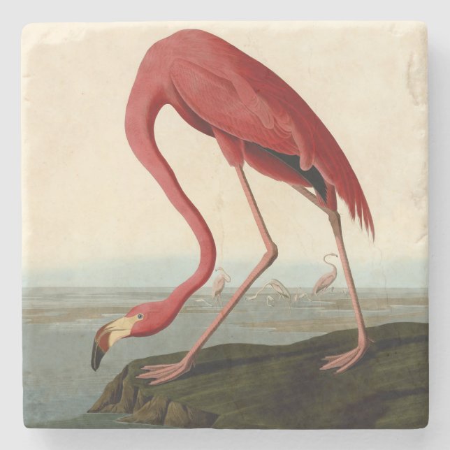 Dessous-de-verre En Pierre Flamant rose américain d'Audubon (Devant)