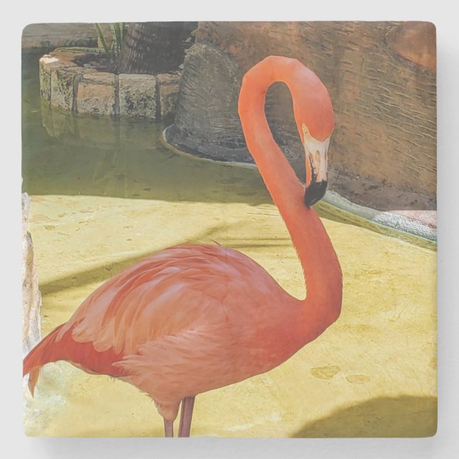 Dessous-de-verre En Pierre Flamant rose rose (Devant)