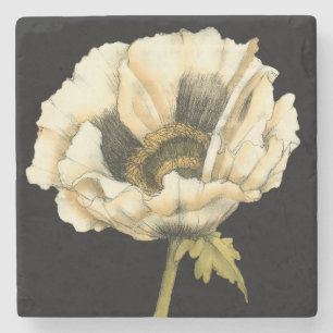 Dessous-de-verre En Pierre Fleur crème de pavot sur l'arrière - plan noir