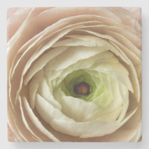 Dessous-de-verre En Pierre Fleur Ranunculus