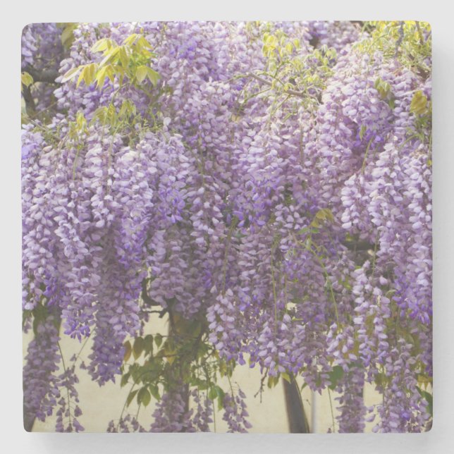 Dessous-de-verre En Pierre Fleurs de bisteria violet (Devant)