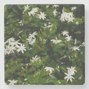 Dessous-de-verre En Pierre Fleurs de jasmin Botanique tropicale florale