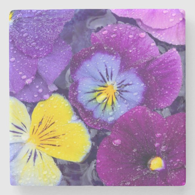 Dessous-de-verre En Pierre Fleurs de pensée flottant dans un bain d'oiseau av (Devant)