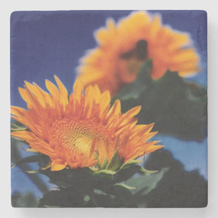 Dessous-de-verre En Pierre Fleurs de soleil