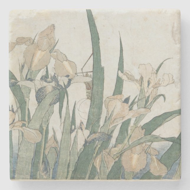 Dessous-de-verre En Pierre Fleurs d'iris et sauterelle, c.1830-31 (Devant)