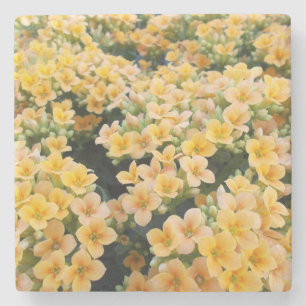 Dessous-de-verre En Pierre Fleurs Jaunes