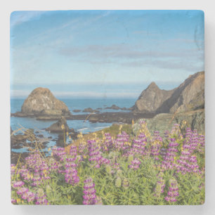 Dessous-de-verre En Pierre Fleurs sauvages lupines couvrent les collines