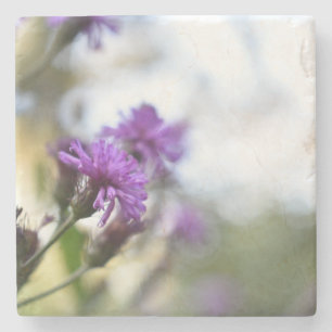 Dessous-de-verre En Pierre Fleurs violettes Été Nature Photographie Florale