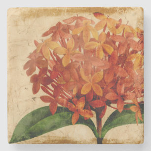 Dessous-de-verre En Pierre Floral III
