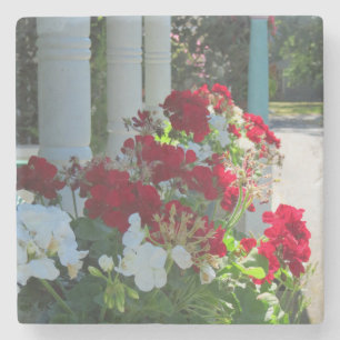 Dessous-de-verre En Pierre Flower Box Geraniums - Martha's Vineyard