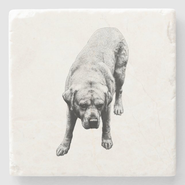 Dessous-de-verre En Pierre Force positionnée (Devant)