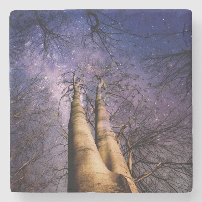 Dessous-de-verre En Pierre Forêt enchantée (Devant)