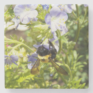 Dessous-de-verre En Pierre Gaffez upside-down l'abeille