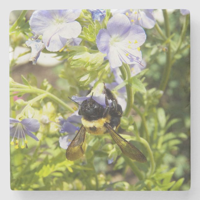 Dessous-de-verre En Pierre Gaffez upside-down l'abeille (Devant)
