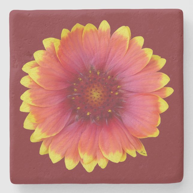 Dessous-de-verre En Pierre Gaillardia 1 (Devant)