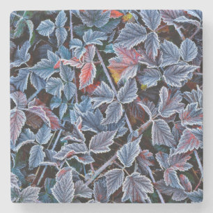 Dessous-de-verre En Pierre Gelée blanche sur feuilles d'automne, Oregon