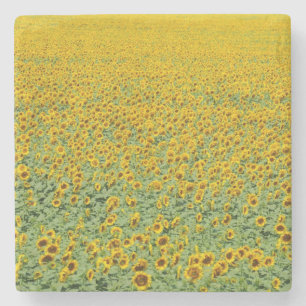 Dessous-de-verre En Pierre Gisement jaune de tournesol