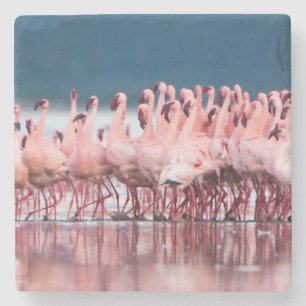 Dessous-de-verre En Pierre Grand Groupe de Flamants Nains
