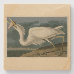 Dessous-de-verre En Pierre Grand héron blanc, des oiseaux d'Amérique d'Audubo