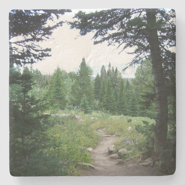 Dessous-de-verre En Pierre Grand Teton Trail (Devant)