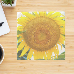 Dessous-de-verre En Pierre Grand tournesol jaune Floral