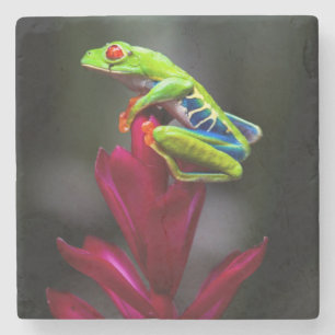 Dessous-de-verre En Pierre Grenouille aux yeux rouges
