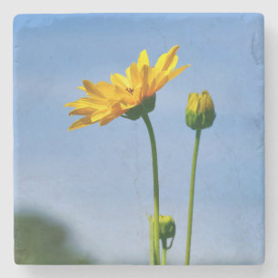 Dessous-de-verre En Pierre Hélénium de marguerite jaune