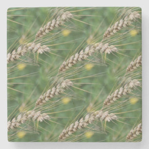 Dessous-de-verre En Pierre Herbes séchées Nature Art Motif
