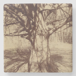 Dessous-de-verre En Pierre Hêtre (par Eugène Atget)