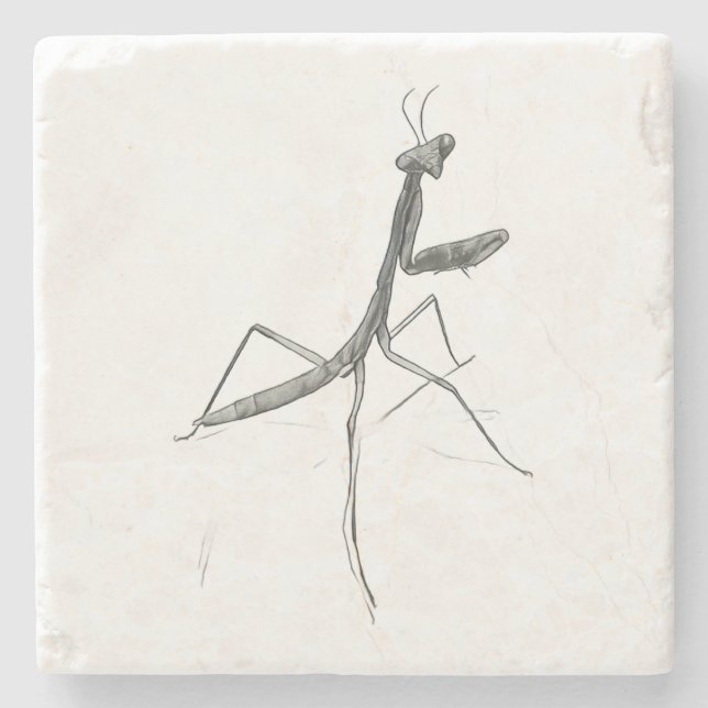 Dessous-de-verre En Pierre Hi there! Praying Mantis (Devant)