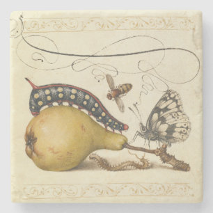 Dessous-de-verre En Pierre Hoefnagel Vintage Poire & Insectes Renaissance 150