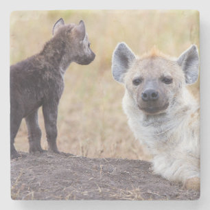 Dessous-de-verre En Pierre Hyena avec jeune