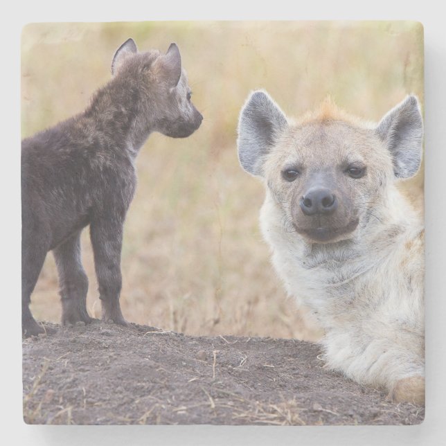 Dessous-de-verre En Pierre Hyena avec jeune (Devant)