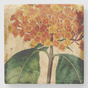 Dessous-de-verre En Pierre I floral vibrant