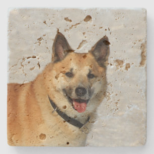 Dessous-de-verre En Pierre IcelandicSheepdog20150904
