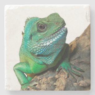 Dessous-de-verre En Pierre Iguane vert