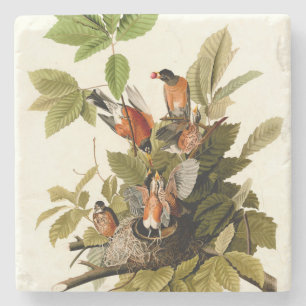 Dessous-de-verre En Pierre Illustration Audubon American Robin Wildlife Bird