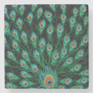 Dessous-de-verre En Pierre Illustration avec des plumes de paon sur le noir