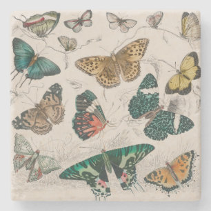 Dessous-de-verre En Pierre Illustration de papillon antique : 1820 Orfèvre