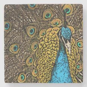 Dessous-de-verre En Pierre Illustration de splendeur de paon